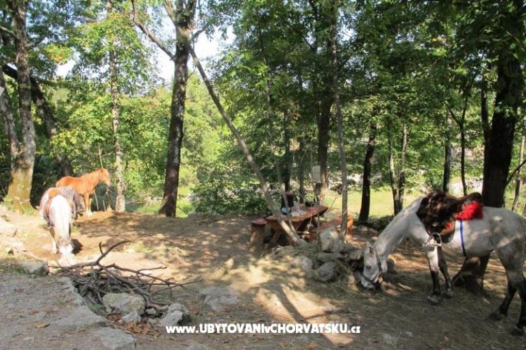 Appartement Filipović Kastav – foto 18