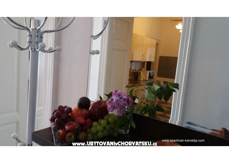 Appartement Kamelija – foto 9