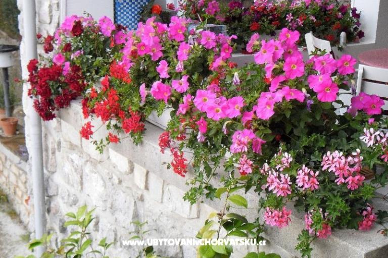 Appartements Kestenovi dvori – foto 15