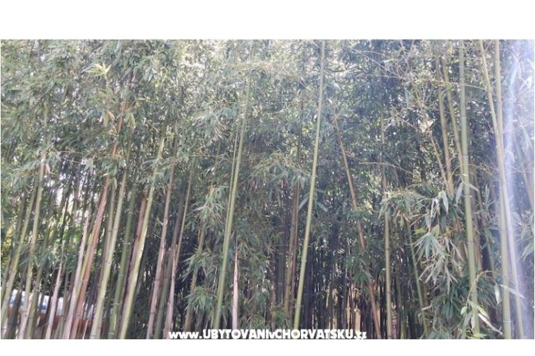 Appartements &amp; rooms  Raspor – foto 11