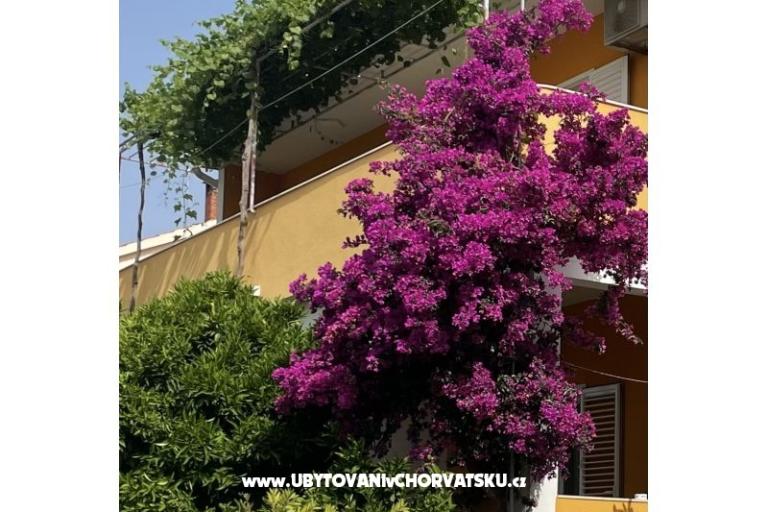 Appartements  Ante – foto 10