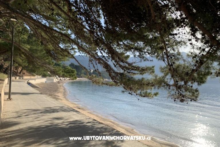 Appartements  Ante – foto 13