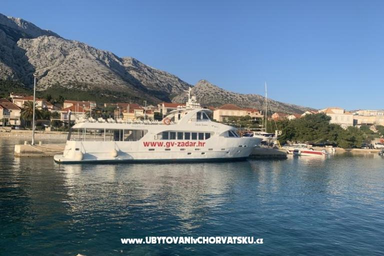 Appartements  Ante – foto 18