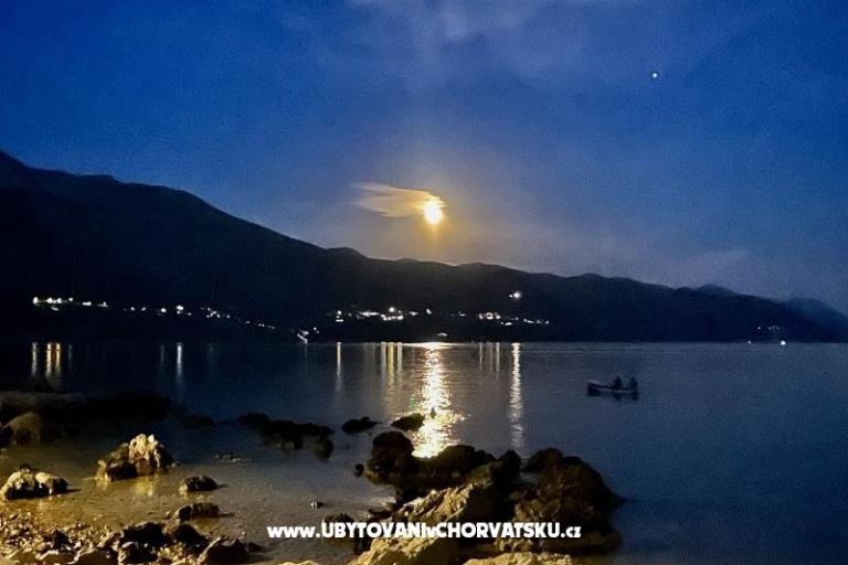 Appartements  Ante – foto 20