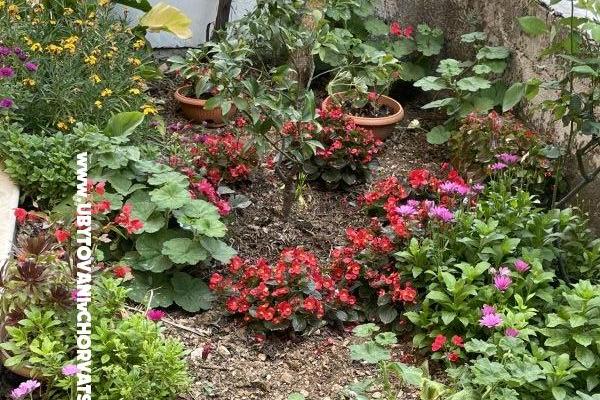 Appartements  Ante – foto 26