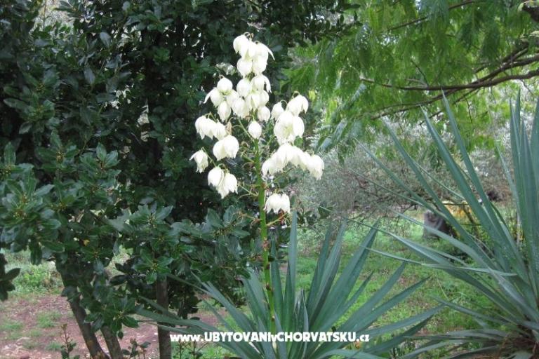 Appartements Mratović – foto 6