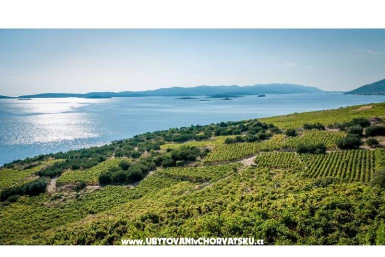 Appartements Sveti Anton Orebic – foto 12