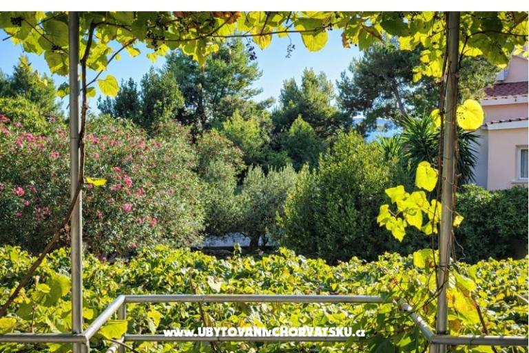 Maison  Mokalo – foto 16