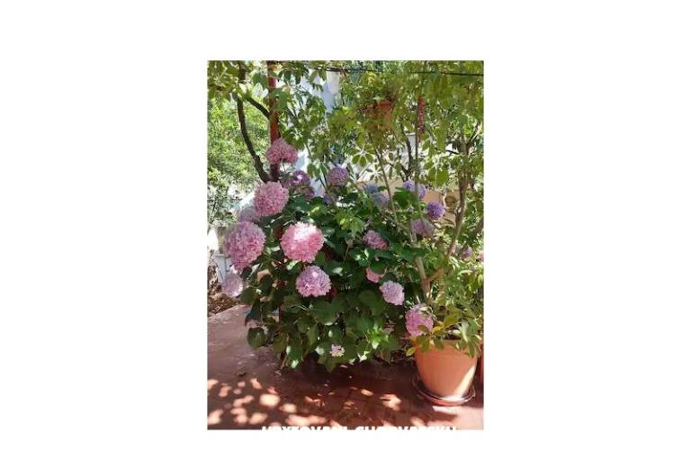 Appartement Braco – foto 39