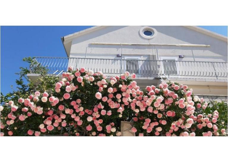 Vila Vida Orebić – foto 16