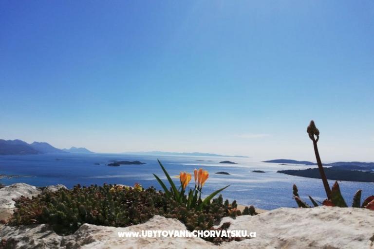 Vila Vida Orebić – foto 9