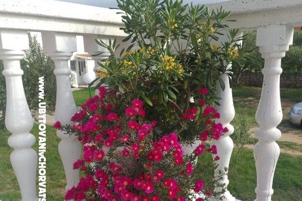 Appartements D&amp;D – foto 11