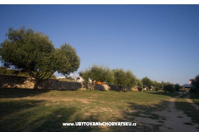 Appartements Dobre – foto 13