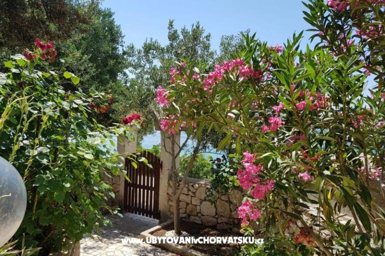 Appartements Milena i Robert – foto 2