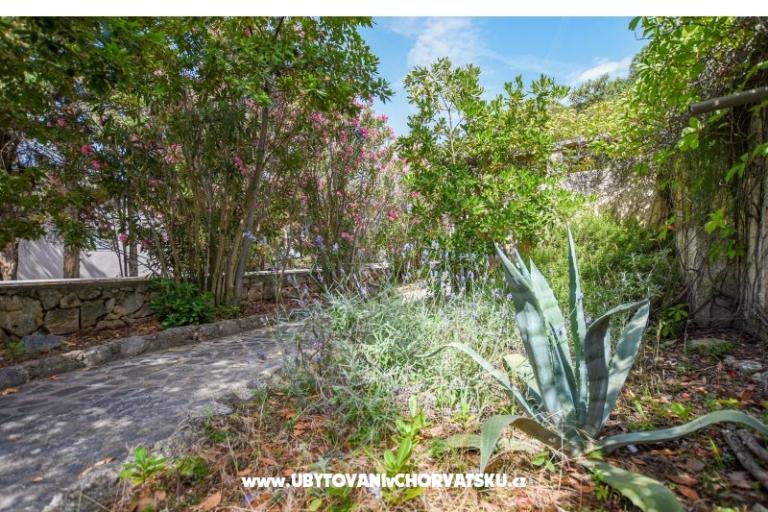 Appartements Oleandra – foto 6