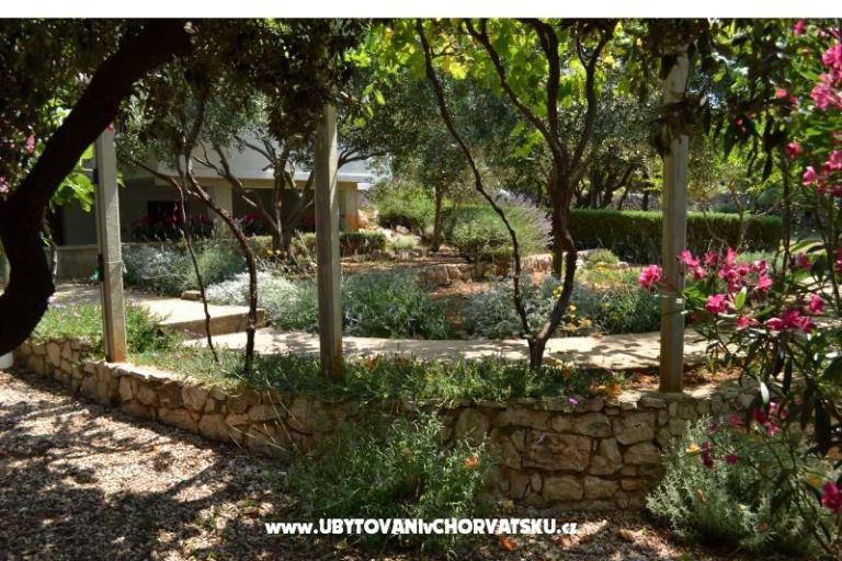 Appartements Salvia island Pag Mandre – foto 15