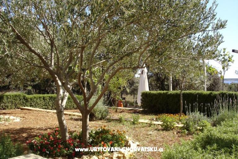 Appartements Salvia island Pag Mandre – foto 18