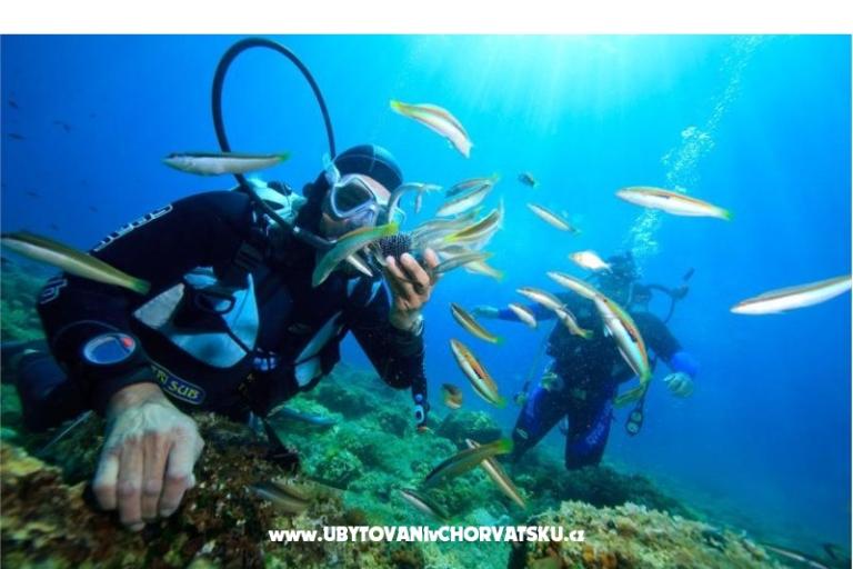 Appartements Vinko – foto 17