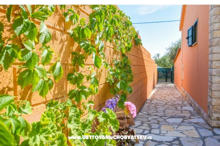 Appartements Zoja – foto 4