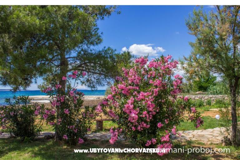 Appartements Proboj – foto 16