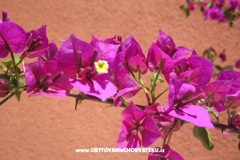 Appartements Kovacika – foto 4