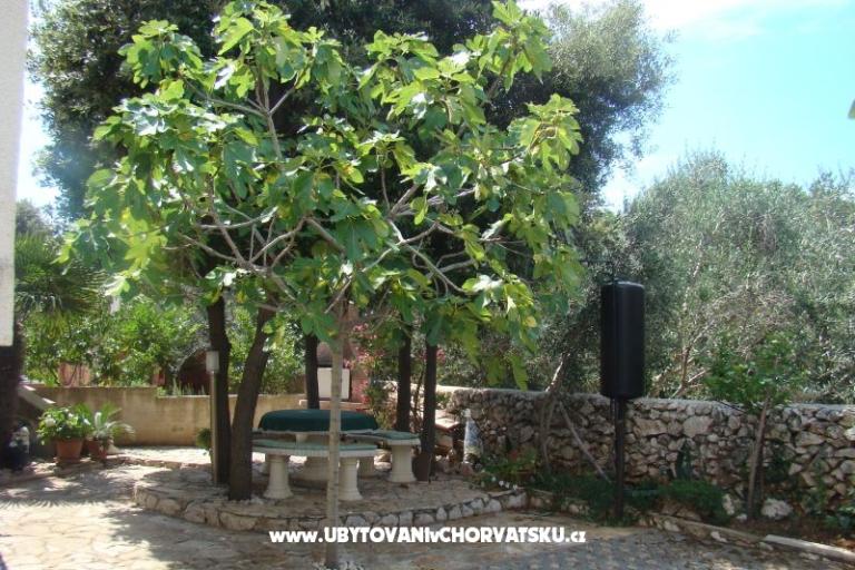 Appartements Mandre – foto 2