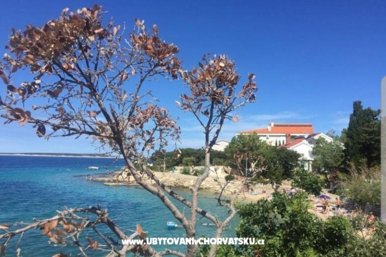 Appartements Mandre – foto 6