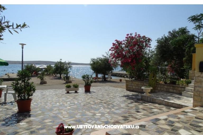 Appartements VIVIEN (9x) – foto 5