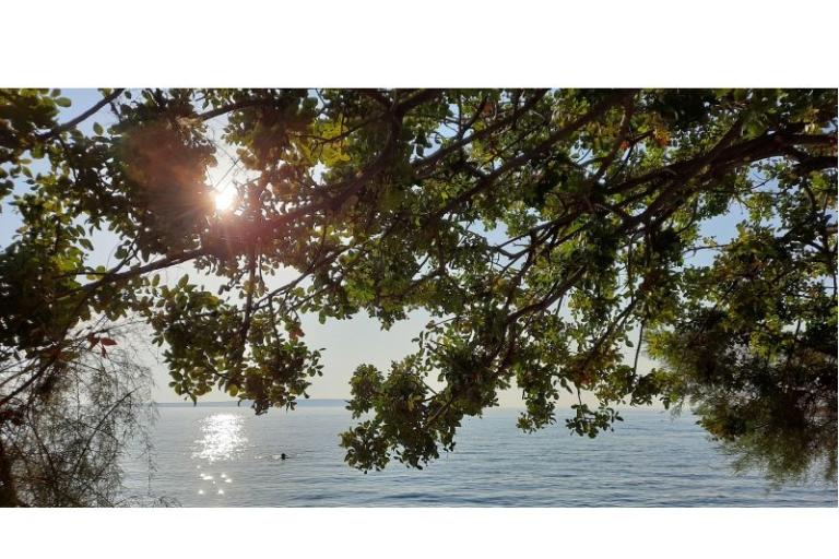 Luxury Appartement Iva – foto 28