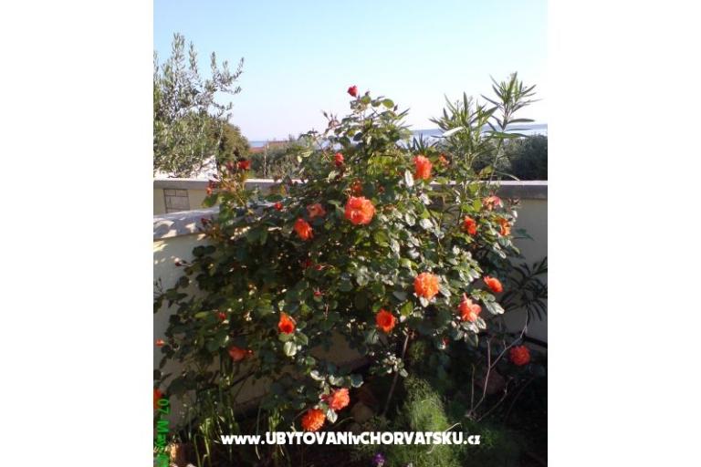 Marea Appartements Mandre – foto 6