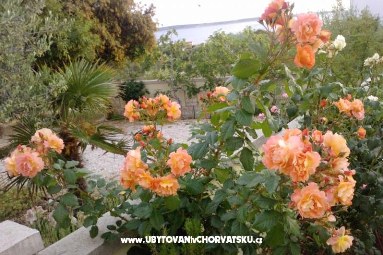 Marea Appartements Mandre – foto 8