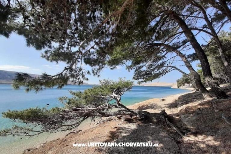 Chambres Magdalena – foto 9