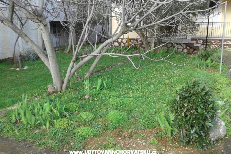 Appartement - Kuća  Milka – foto 4