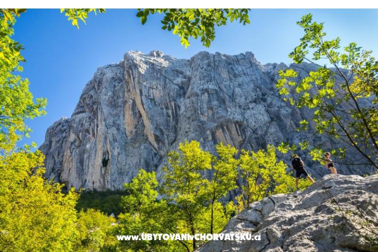 Appartement Agava Seline – foto 9