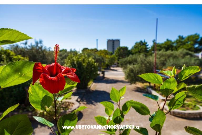 Appartements Adriana – foto 19