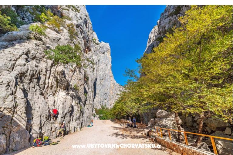 Appartements Adriana – foto 5