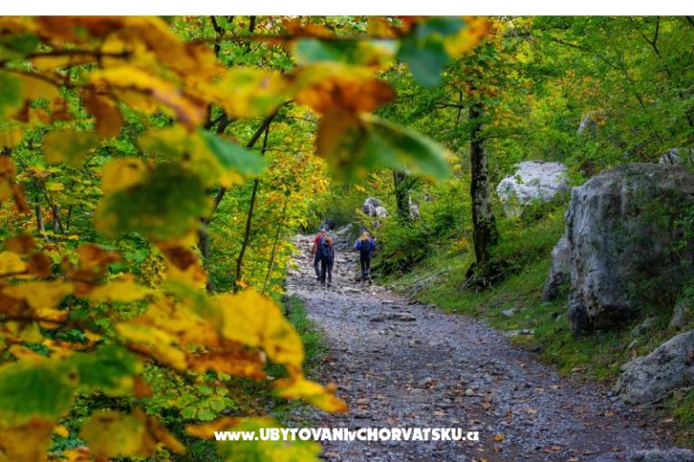 Appartements Adriana – foto 6