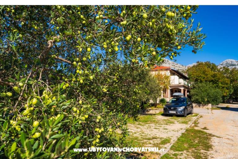 Appartements Adriana – foto 9