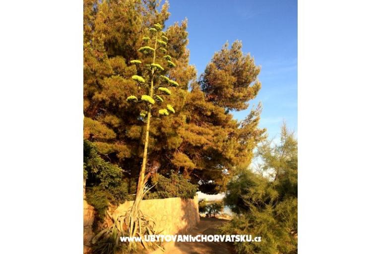 Appartements Marin – foto 16