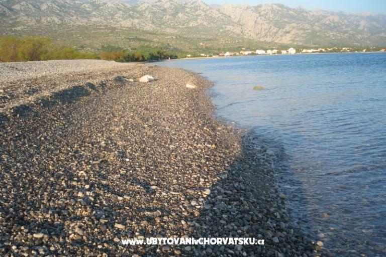 Appartements &amp; Chambres Danica – foto 4