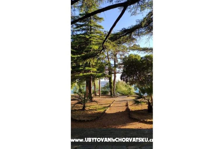 Appartements Luka &amp; Lea – foto 14