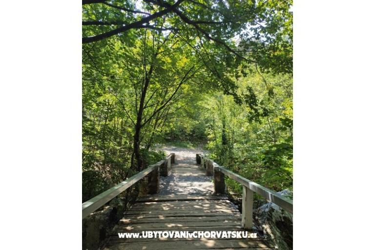 Appartements Luka &amp; Lea – foto 15