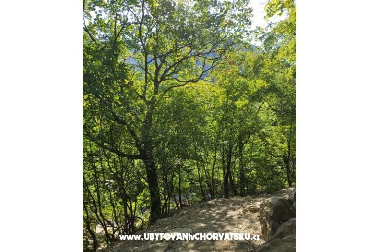 Appartements Luka &amp; Lea – foto 16