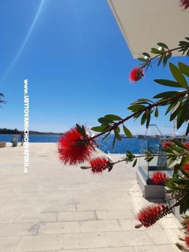 Appartements Tomic – foto 10