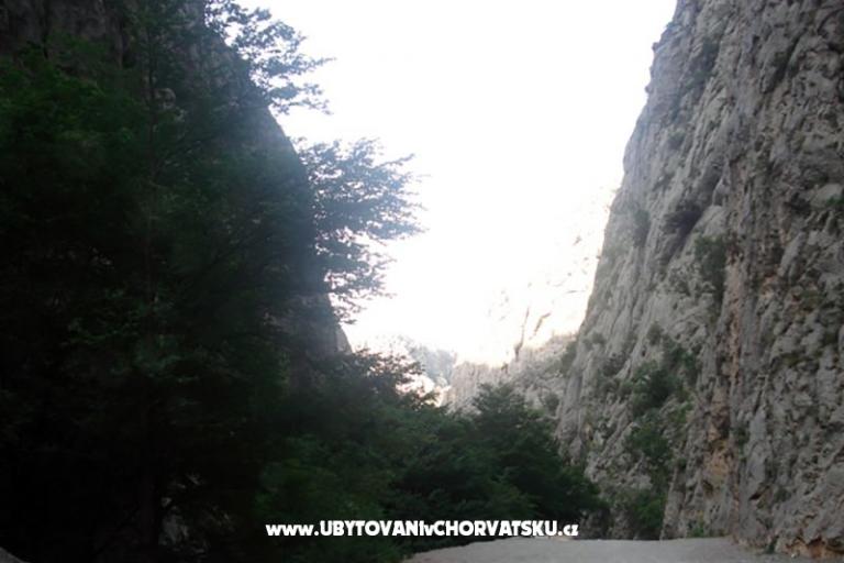 Appartements vesela – foto 5