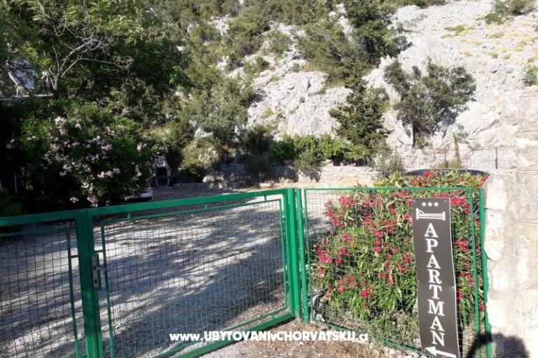 Maison de vacances Beli – foto 15