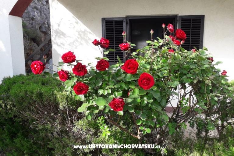 Maison de vacances Beli – foto 6