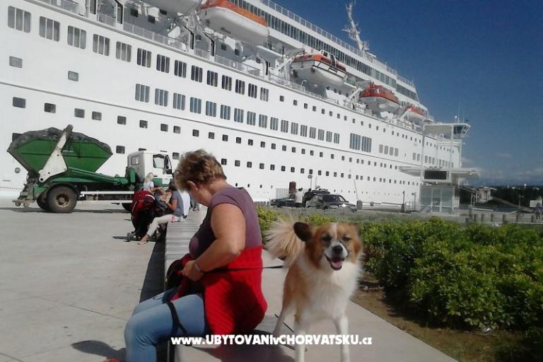 Aurora Appartements – foto 11