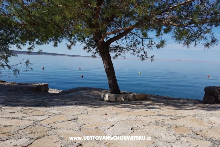 Appartements Bosi i Goli – foto 15