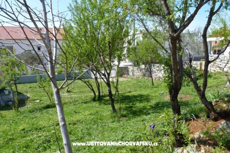 Pension Ivan – foto 6